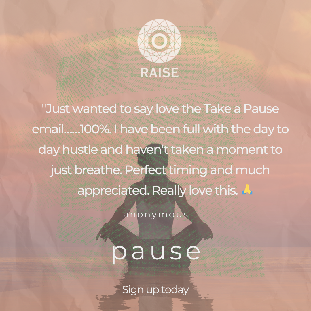 An anonymous testimonial complimenting the Pause newsletter