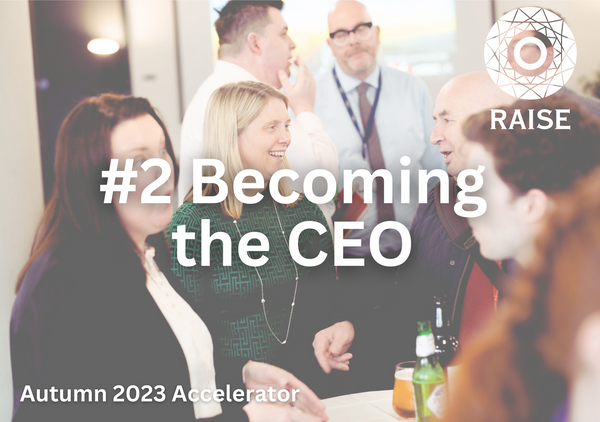 #2 Stepping into the CEO role
