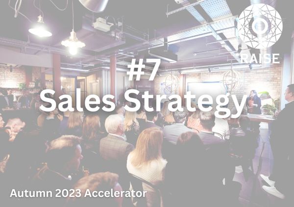 #7 Sales Strategy